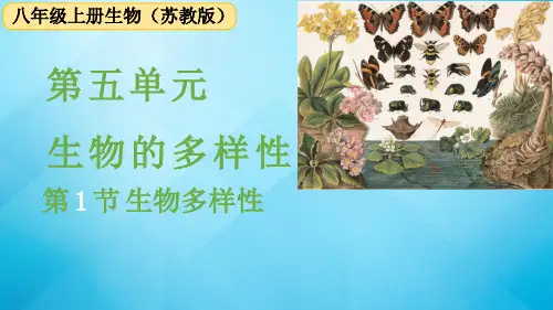 苏教版生物八年级上册 第十五章 生物多样性及其保护