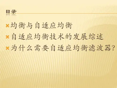 自适应均衡技术ppt课件