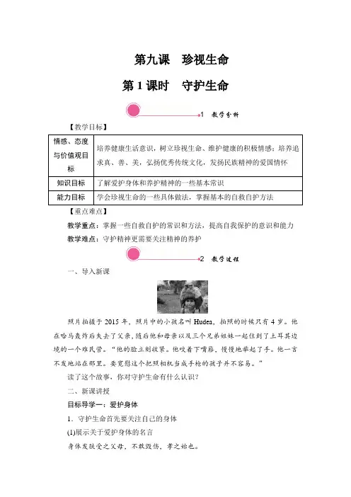部编版七年级上册道德与法治9.1 守护生命 教案