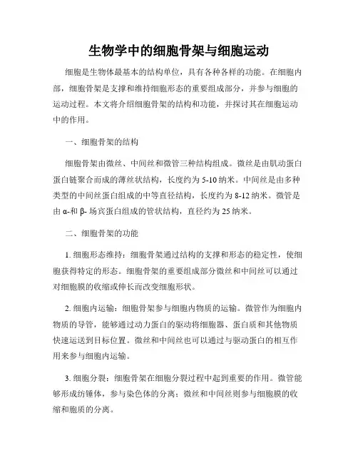 生物学中的细胞骨架与细胞运动