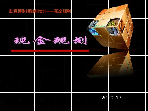 理财规划专业能力第一章现金规划 共31页