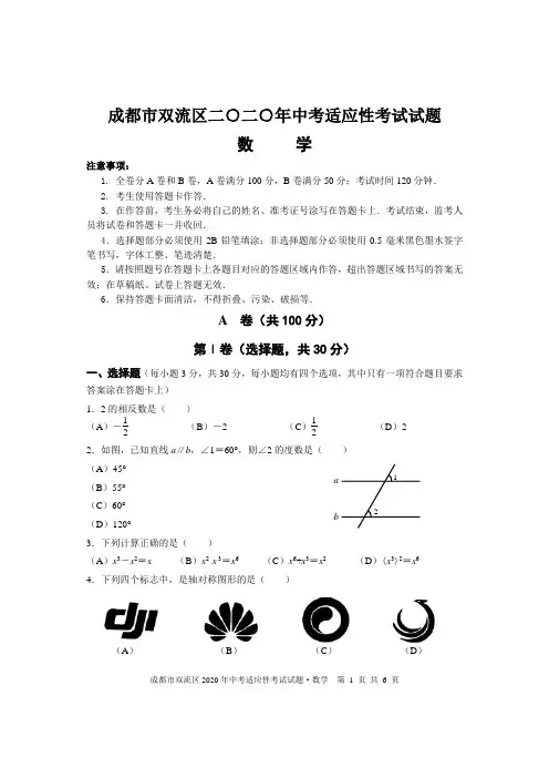 2019-2020学年成都市双流区初三二诊数学试题+答案