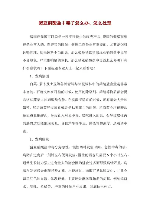 猪亚硝酸盐中毒了怎么办、怎么处理