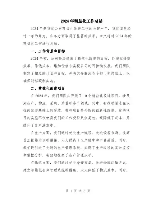 2024年精益化工作总结