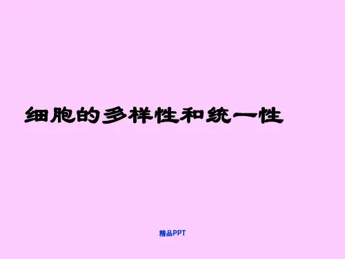 人教版高中生物必修1第1章第2节 细胞的多样性和统一性课件(6)