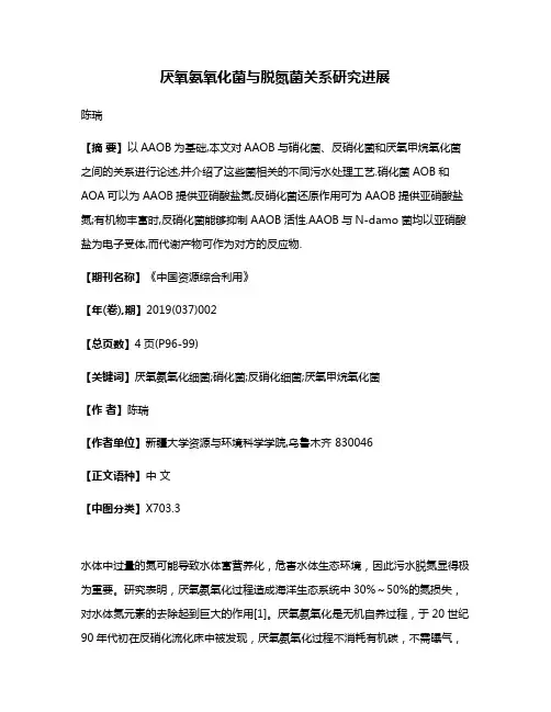 厌氧氨氧化菌与脱氮菌关系研究进展