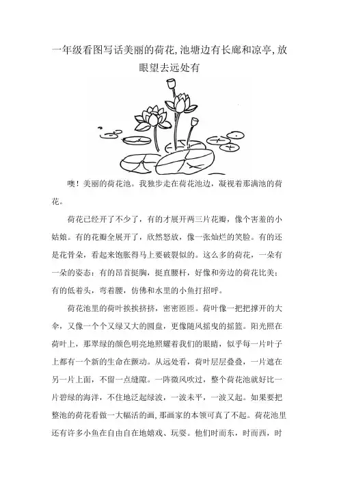 一年级看图写话美丽的荷花,池塘边有长廊和凉亭,放眼望去远处有