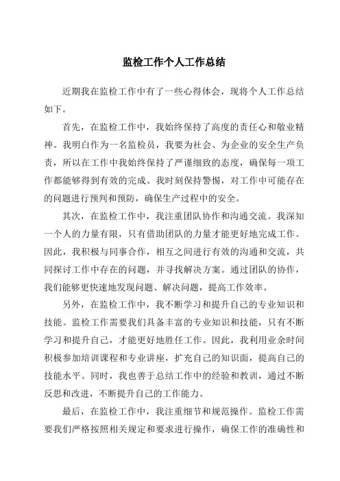监检工作个人工作总结