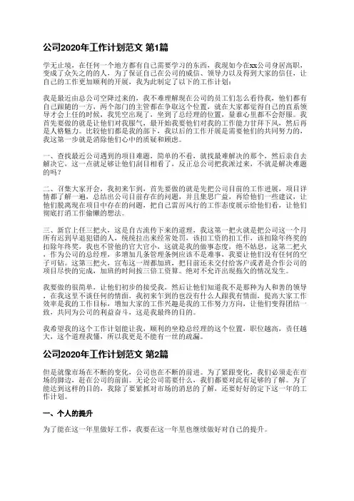公司2020年工作计划范文(必备4篇)