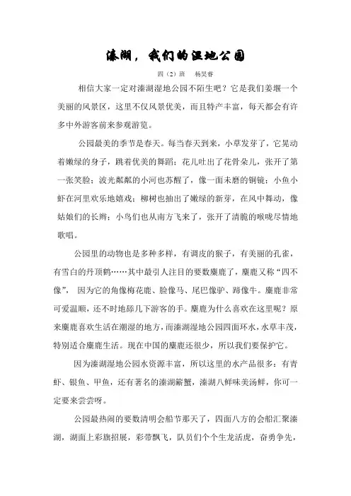 溱湖,我们的湿地公园