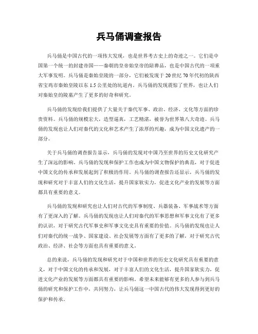 兵马俑调查报告