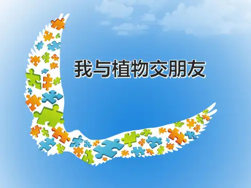 沈阳社版三下综合实践2.我与植物交朋友课件