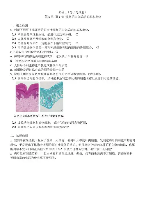 新人教版2019 高中生物 必修1《分子与细胞》课后习题