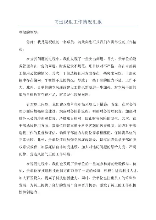 向巡视组工作情况汇报