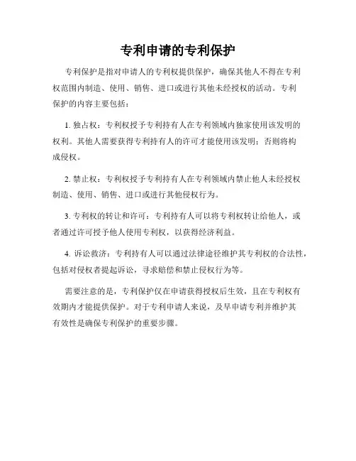 专利申请的专利保护