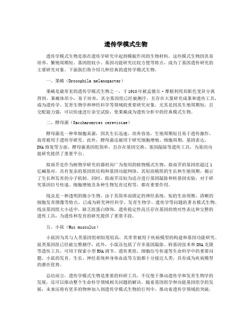 遗传学模式生物