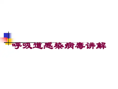 呼吸道感染病毒讲解培训课件