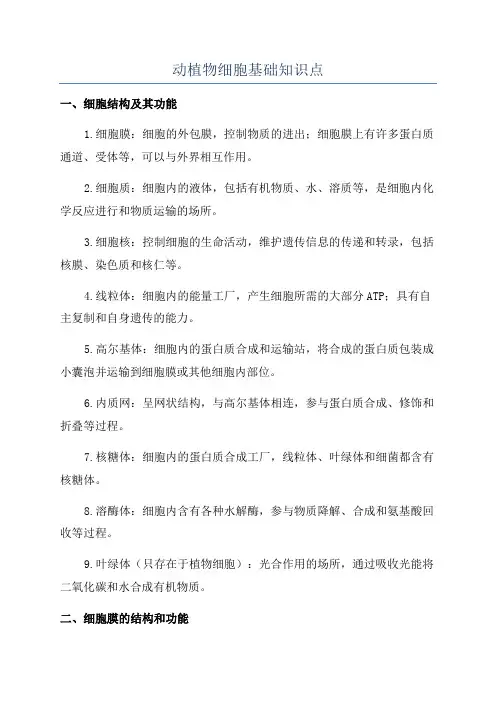 动植物细胞基础知识点