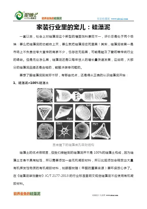 家装行业里的宠儿：硅藻泥