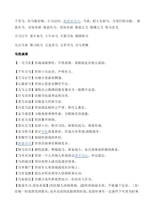 有关马的资料
