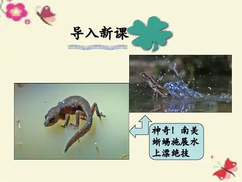 人教版语文选修《消息：带着露珠的新闻》ppt课件