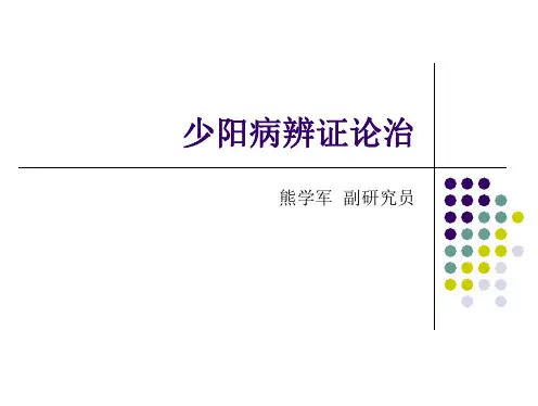 少阳病篇2013520