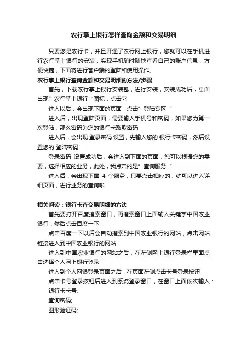 农行掌上银行怎样查询金额和交易明细