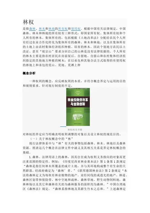 林权