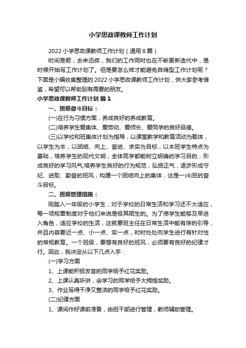 小学思政课教师工作计划
