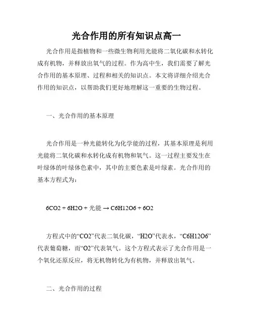 光合作用的所有知识点高一