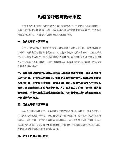 动物的呼吸与循环系统