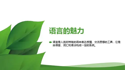 10.2导游人员语言技能1