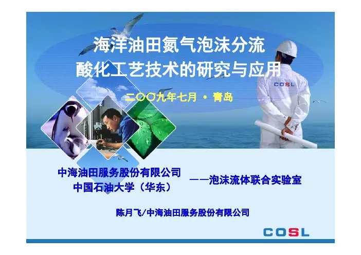 海洋油田泡沫分流酸化青岛交流