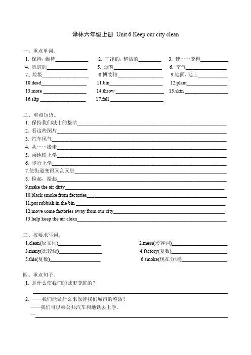 译林英语六年级上册第六单元练习试卷(word版,含答案)