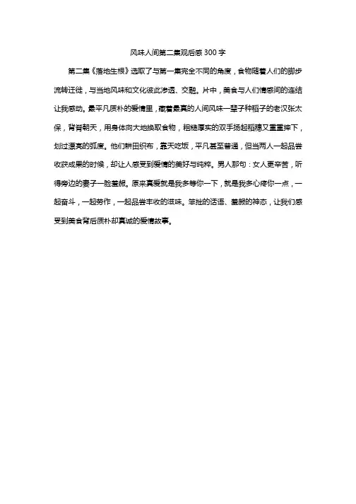 风味人间第二集观后感300字