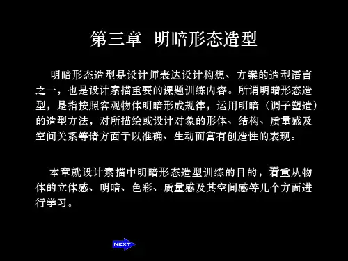 第三章  明暗形态造型