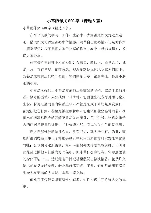 小草的作文800字(3篇)