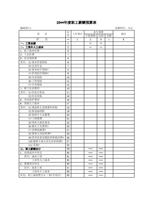 发电企业集团年度职工薪酬预算表