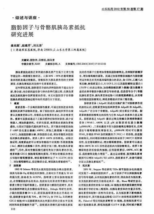 脂肪因子与骨骼肌胰岛素抵抗研究进展
