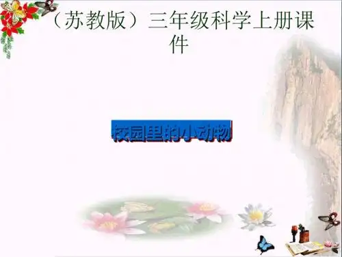 三年级科学上册校园里的动物ppt课件2新人教版