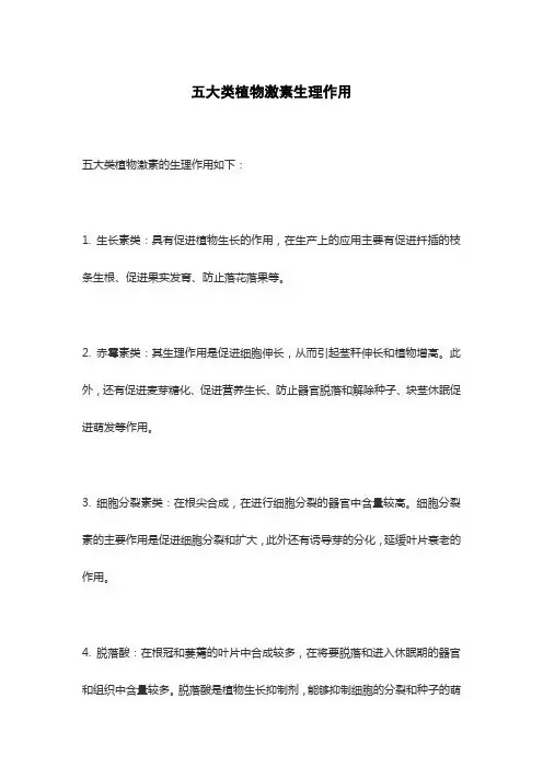 五大类植物激素生理作用