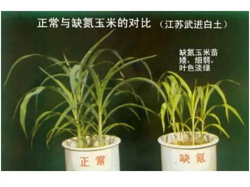【实验】测定土壤中微生物的数量
