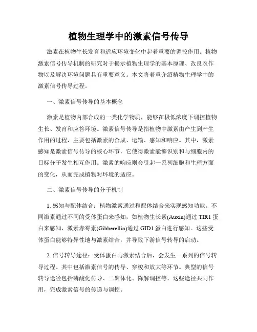 植物生理学中的激素信号传导