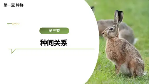 高中生物必修课件  种间关系