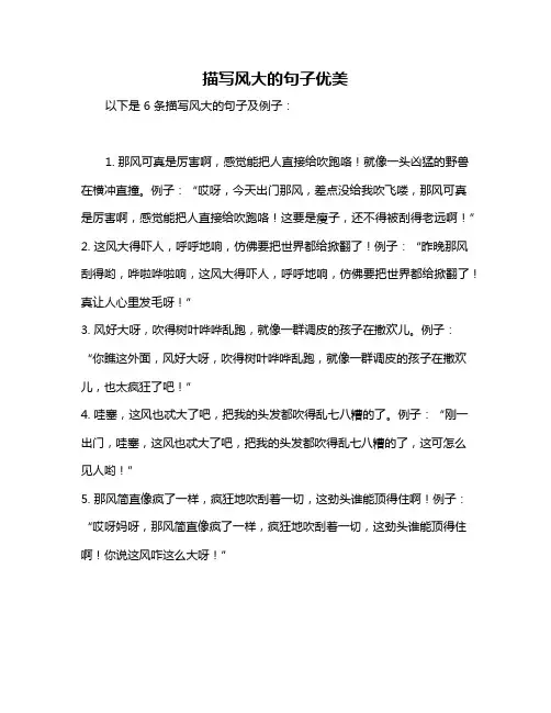 描写风大的句子优美