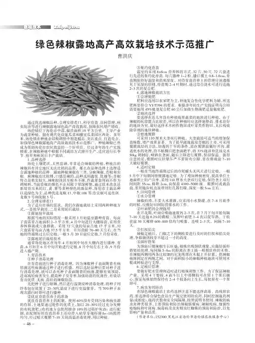 绿色辣椒露地高产高效栽培技术示范推广