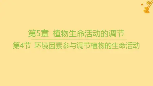 新教材高中生物第5章植物生命活动的调节第4节环境因素参与调节植物的生命活动课件新人教版选择性必修1