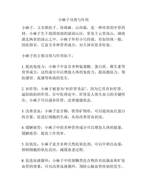 小麻子功效与作用