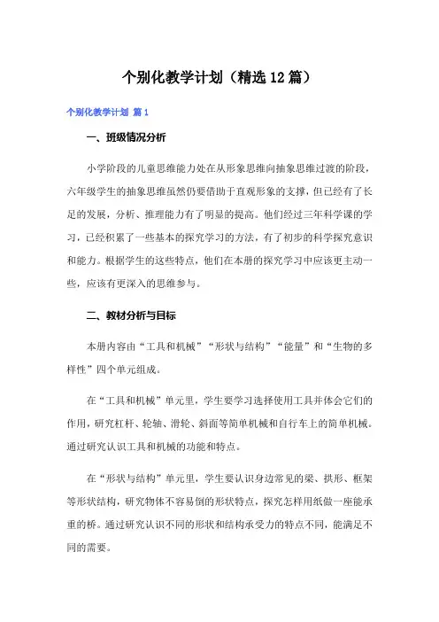 个别化教学计划(精选12篇)