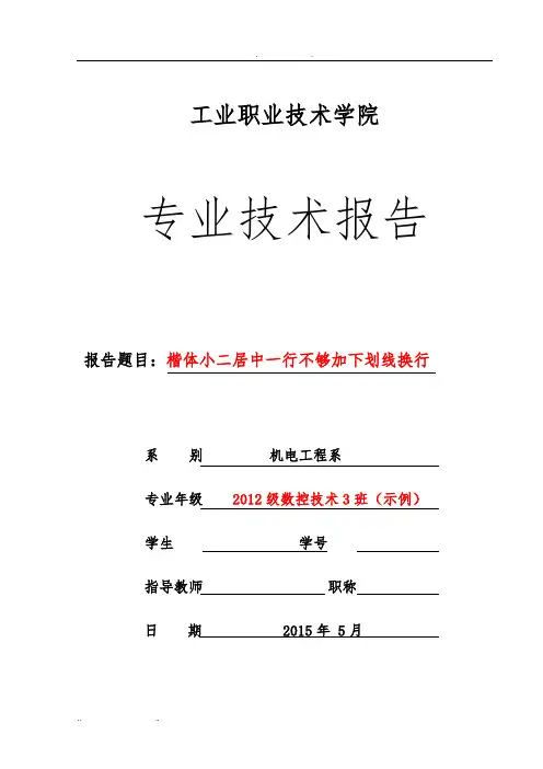 《专业技术报告》格式要求内容